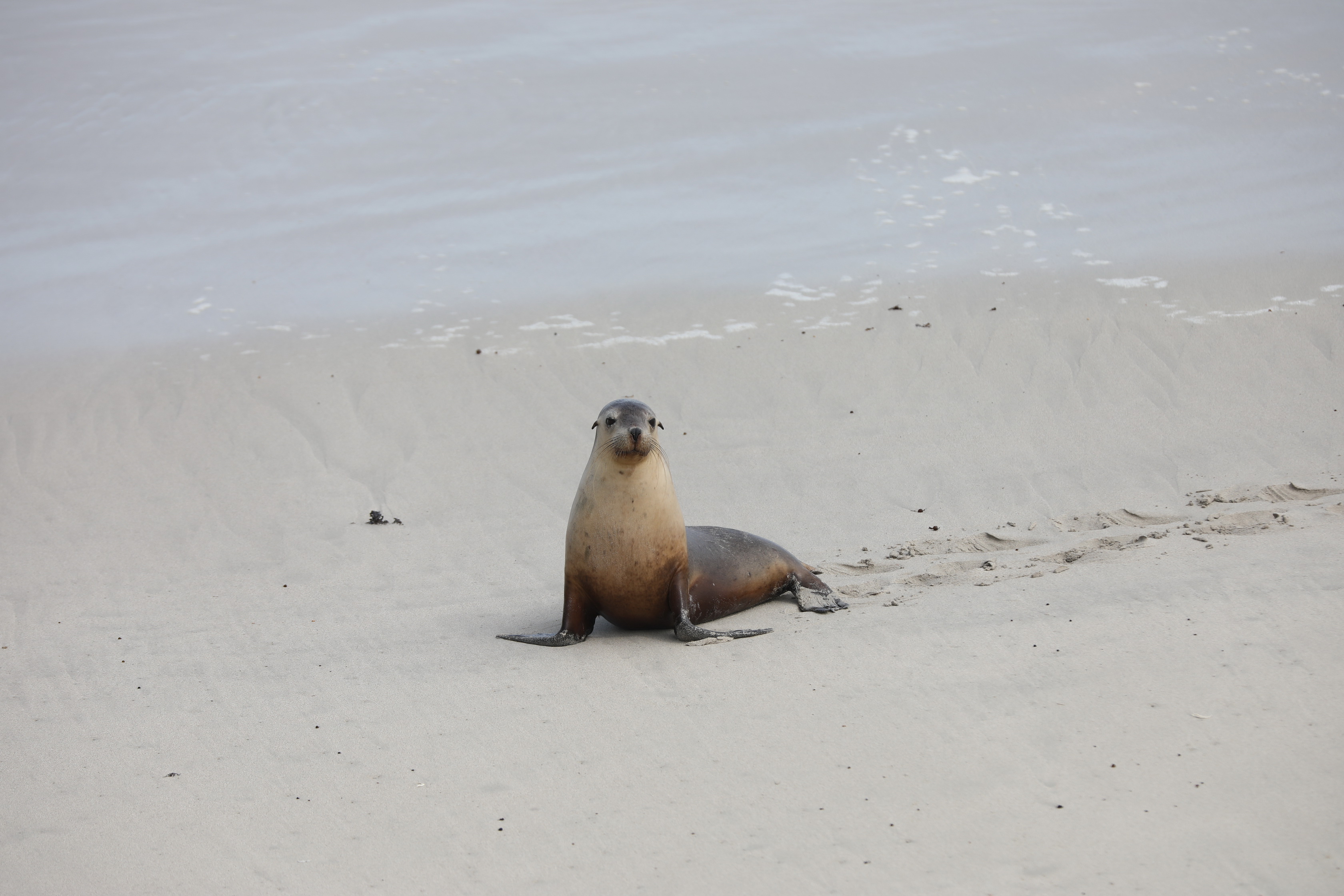 2019 09 29 14 10 07 Canon EOS 5D Mark IV 0046